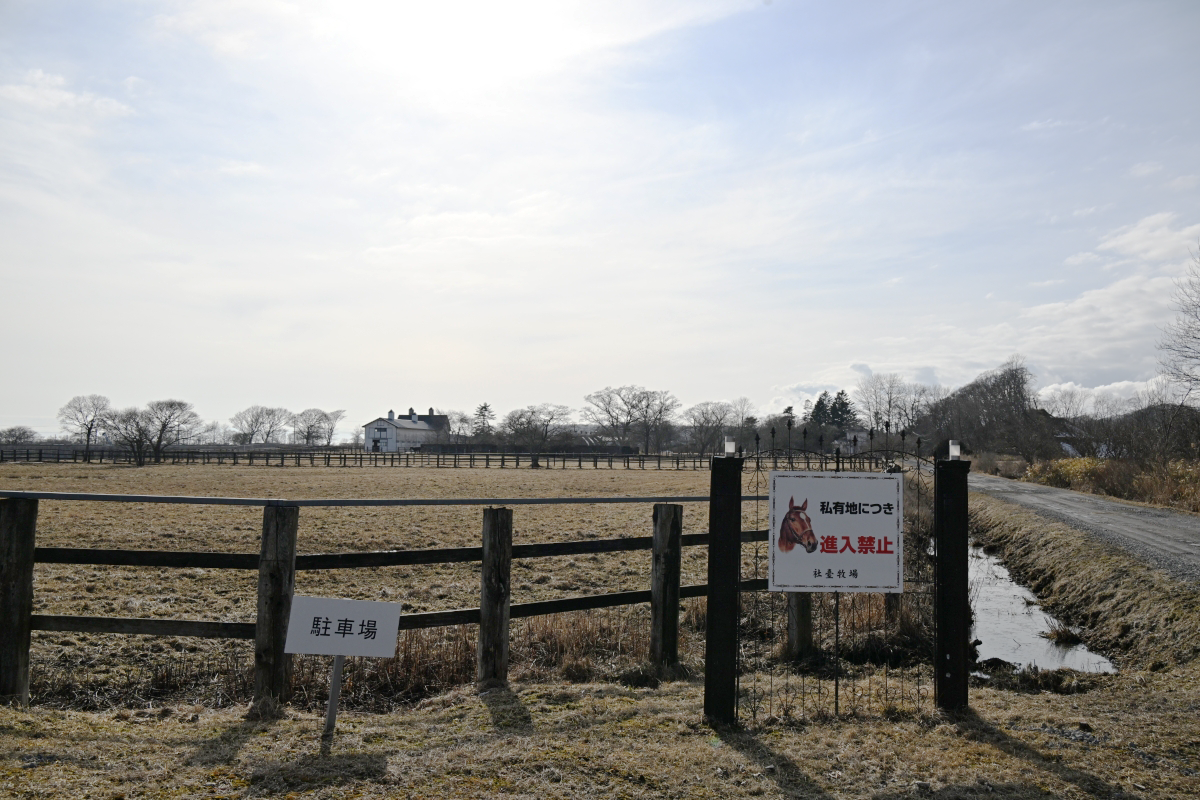 d5c0d7f6fd3b50d79c3f6ffffe12564e-1773904298.png d5c0d7f6fd3b50d79c3f6ffffe12564e-1773904298.png